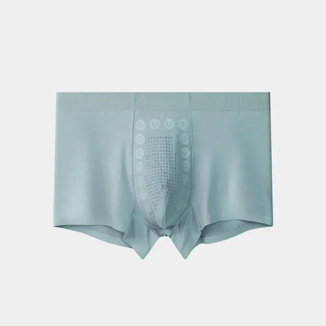 Japan-Imported Men's Ice-Silk Underwear (😍Pack of 4 Offer Today)